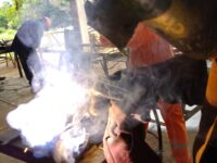 Exif_JPEG_420